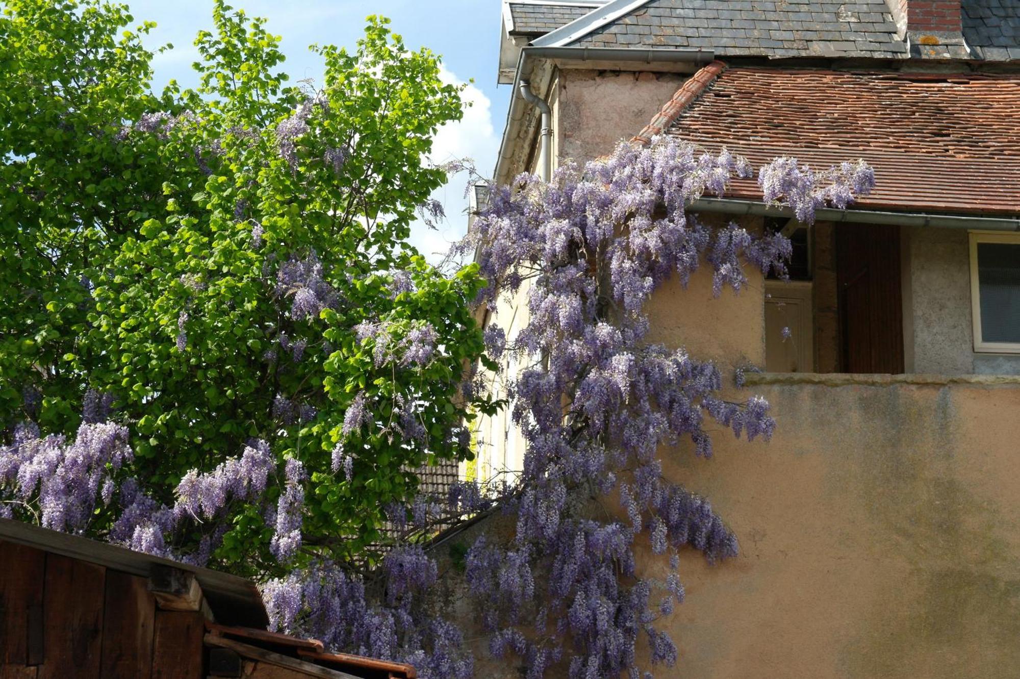 Guest house Relais De La Diligence *